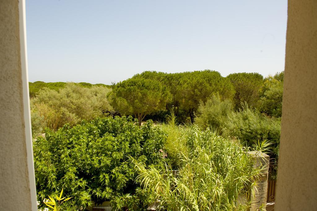 Maison D'Elie سان تروبيه المظهر الخارجي الصورة